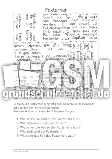 Foxterrier.pdf